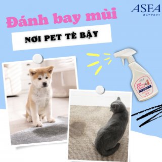 Xịt Khử Mùi, Diệt Khuẩn Cho Thú Cưng ASFA Pet Care 250ml