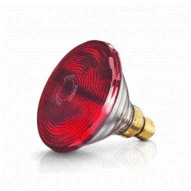 Bóng đèn hồng ngoại Philips/ osram 150w